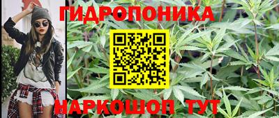 гидра Заволжье